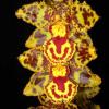 Odontocidium Hansueli Isler