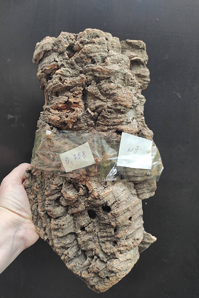 Блок для орхідей з кори пробкового дуба; 758 г; H ~ 32 см, W ~ 20 см