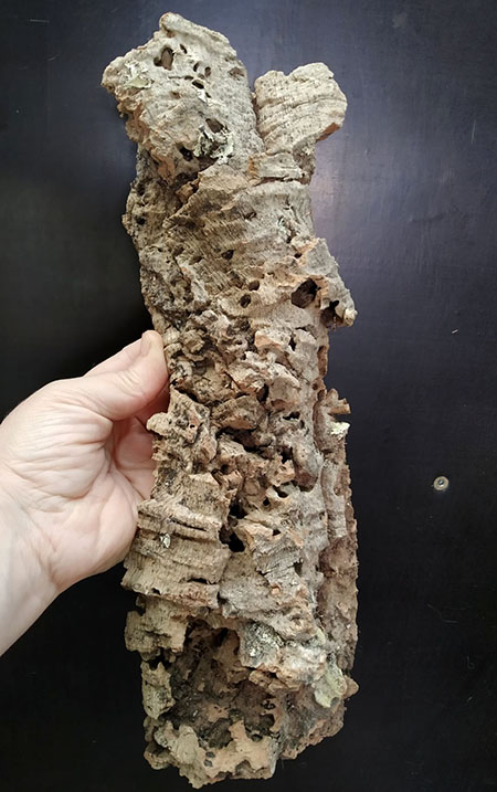 Блок для орхідей з кори пробкового дуба; 192 г; H ~ 32 см, W ~ 10 см