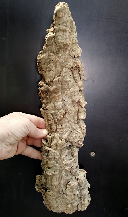 Блок для орхідей з кори пробкового дуба; 180 г; H ~ 40 см, W ~ 10 см