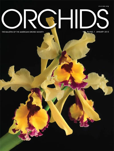 Orchids Magazine. The bulletin of the American Orchid Society. 1 шт.