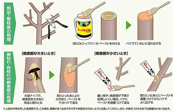 TopJin M Nippon Soda Disinfectant, 100 ml