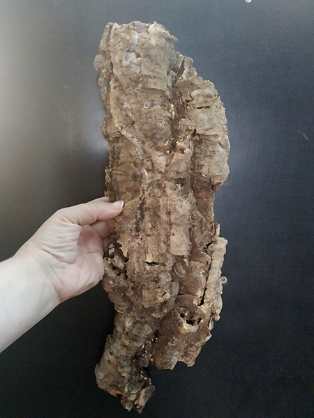 Блок для орхідей з кори пробкового дуба; 310 г; H ~ 40 см, W ~ 13 см
