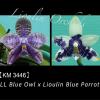 Phalaenopsis LL Blue Owl x Lioulin Blue Parrot (3446)