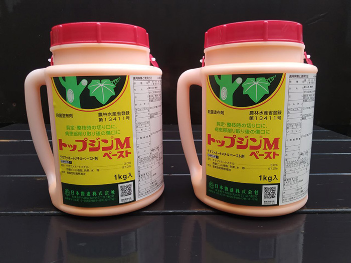 TopJin M Nippon Soda Disinfectant, 100 ml