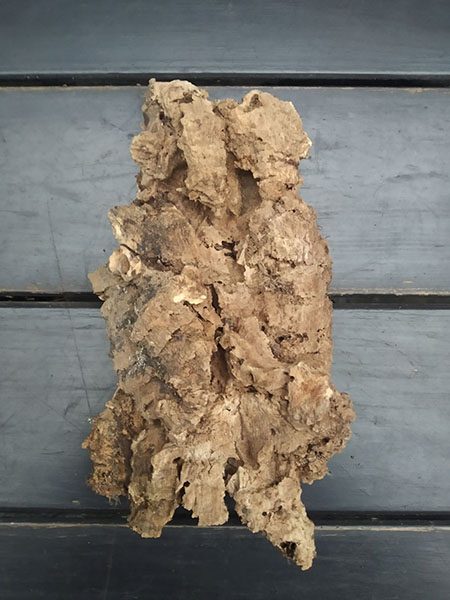 Блок для орхідей з кори пробкового дуба; 70 г; H ~ 19 см, W ~ 13 см