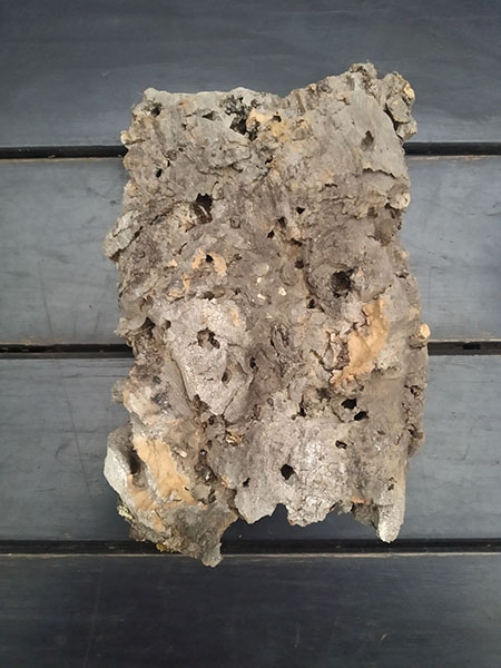 Блок для орхідей з кори пробкового дуба 320  г; H ~ 20 см, W ~16 см