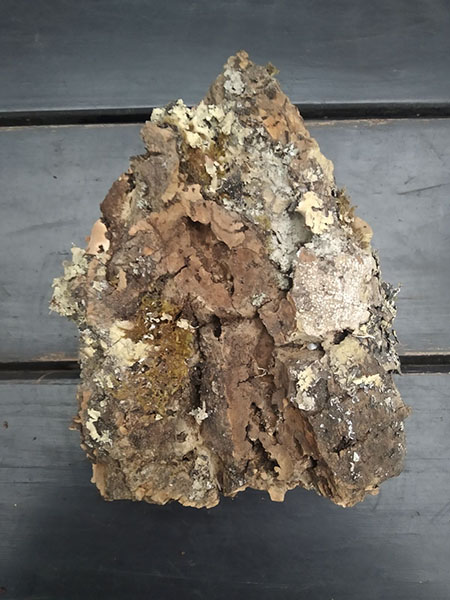 Блок для орхідей з кори пробкового дуба; 70 г; H ~ 15 см, W ~ 12 см