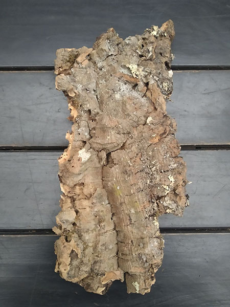 Блок для орхідей з кори пробкового дуба; 220г; H ~ 29 см, W ~ 14 см