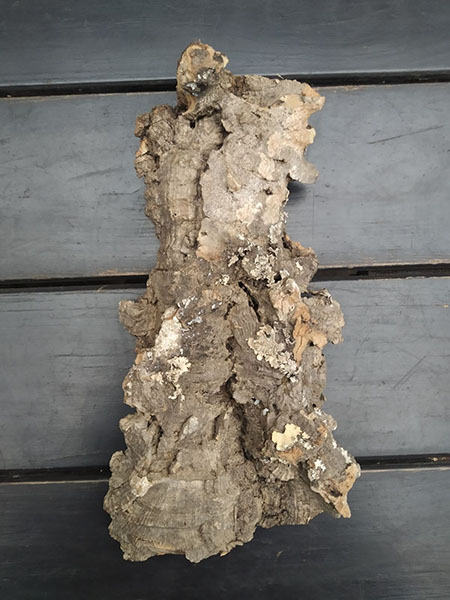 Блок для орхідей з кори пробкового дуба; 180 г; H ~ 23 см, W ~ 11 см