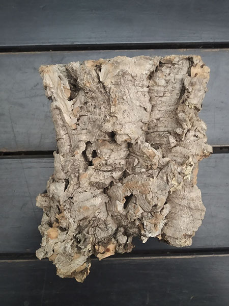 Блок для орхідей з кори пробкового дуба; 160 г; H ~ 17 см, W ~ 15 см