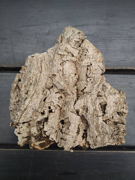 Блок для орхідей з кори пробкового дуба; 70 г; H ~ 15 см, W ~ 10 см