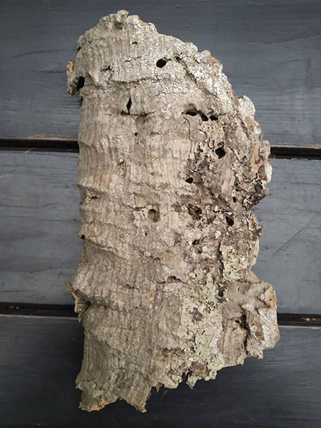 Блок для орхідей з кори пробкового дуба; 140 г; H ~ 19 см, W ~ 10 см