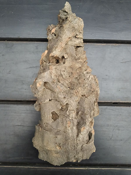 Блок для орхідей з кори пробкового дуба; 120 г; H ~ 22 см, W ~ 9 см