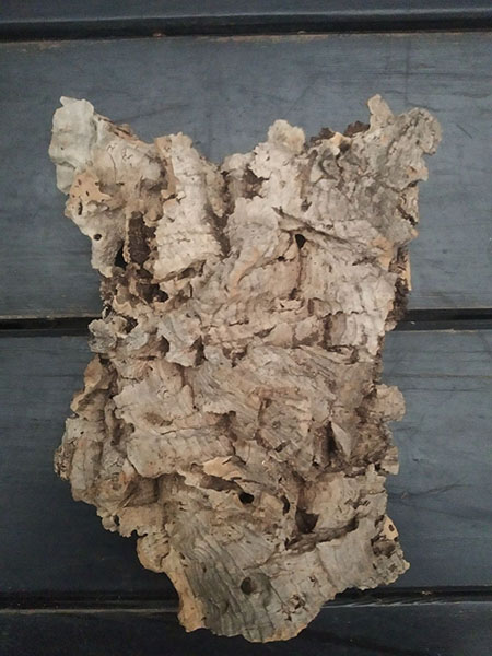 Блок для орхідей з кори пробкового дуба, 70 г ~ H15 W10