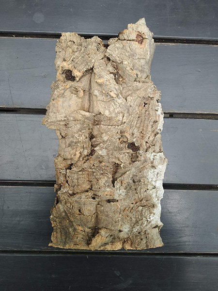 Блок для орхідей з кори пробкового дуба, 300 г ~H26 W16