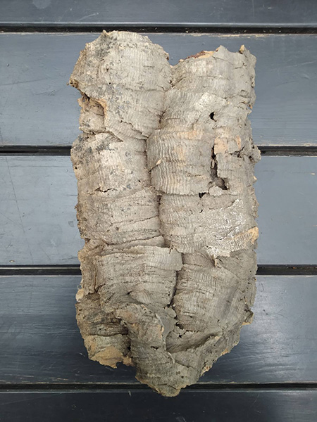 Блок для орхідей з кори пробкового дуба, 310 г ~H21 W14