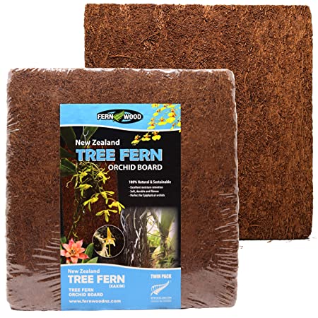 Tree Fern Orchid Boards (30,5 x 30,5 x 2,5 cm.)