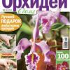 Журнал "Орхидеи в доме"
